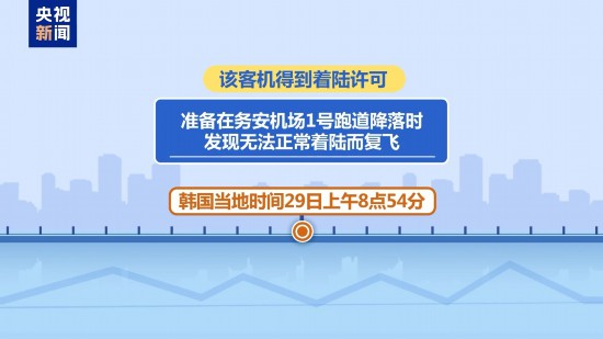 韓國客機悲?。鹤矇η傲昼娊峪B情預警 179人遇難